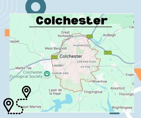 {{ custom_values.service_1 }} in {{custom_values.biz_area_1})