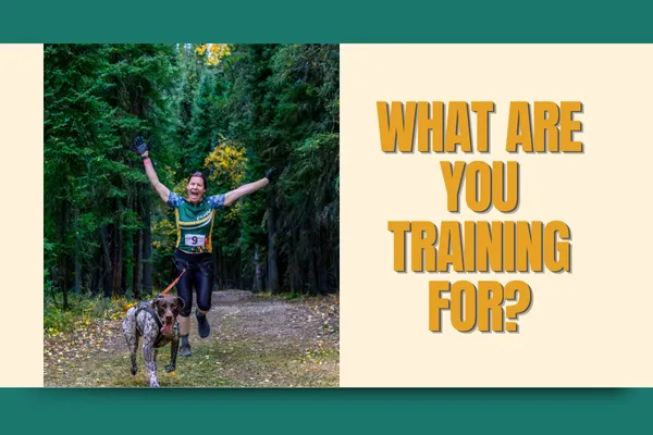 What Are You Training For?