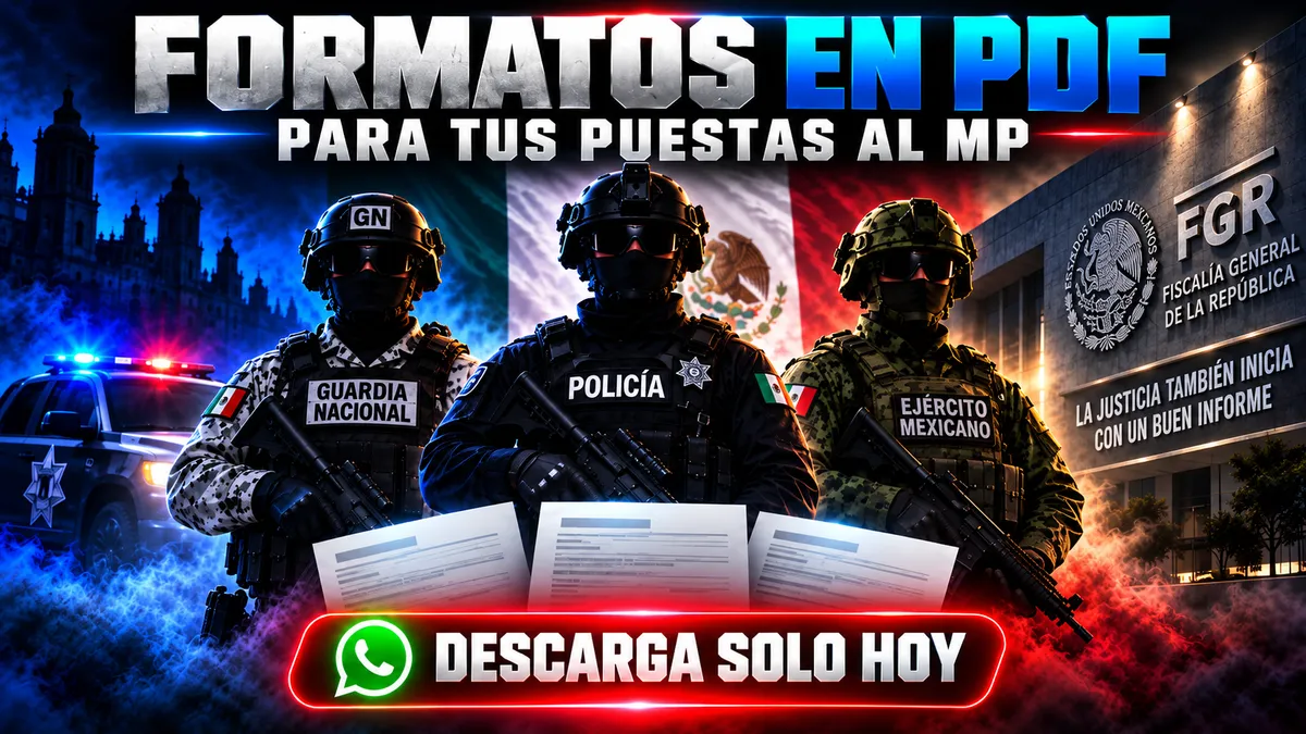 Lineamientos del Servicio Profesional de Carrera