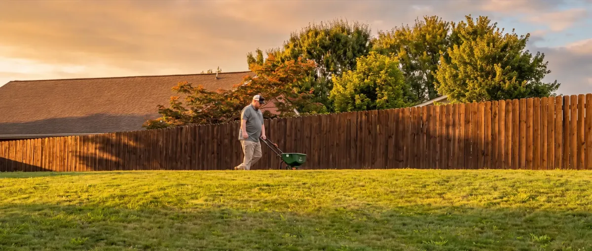 Best Lexington pest control company, Blue Jays Pest Control