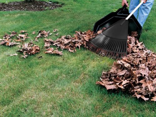 Spring Cleanup in Mound