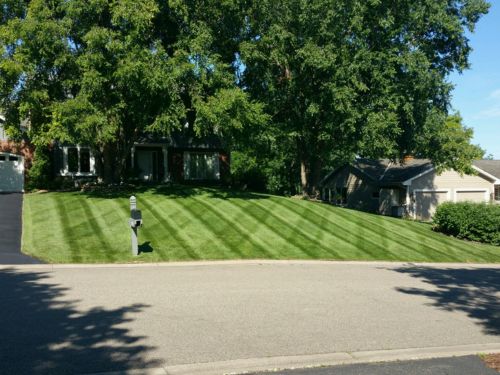 Regrading & Yard Leveling in Mound