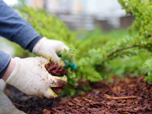 Mulch Installation in Mound