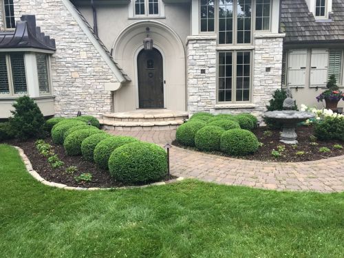 Shrub & Hedge Trimming in Mound