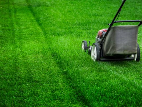  Lawn Mowing