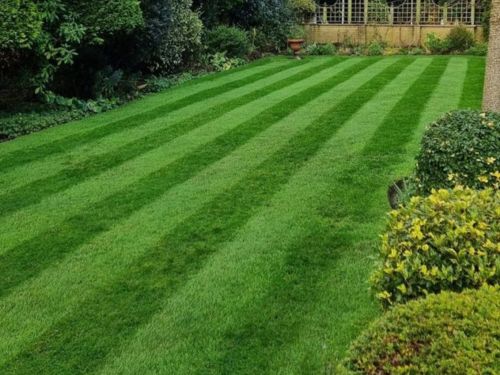 Tonka Bay Lawn Mowing
