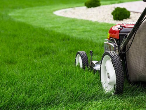  Lawn Mowing