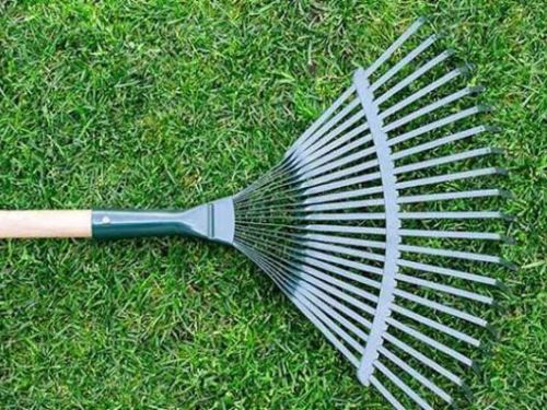 Tonka Bay Spring Cleanup