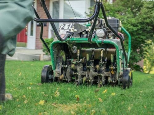  Lawn Mowing