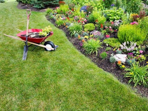  Lawn Mowing