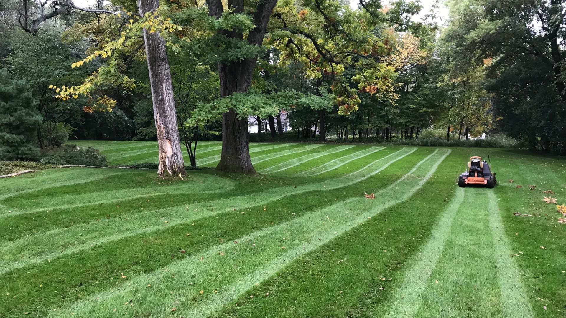 Outdoor Maintenance Mound