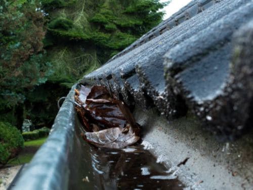 Tonka Bay Gutter Cleaning