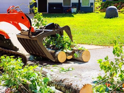 Lawn Mowing