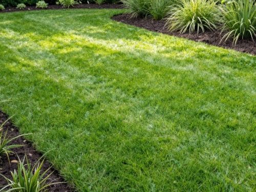 Spring Cleanup Mound