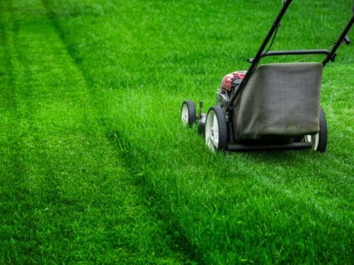 Lawn Mowing Mound