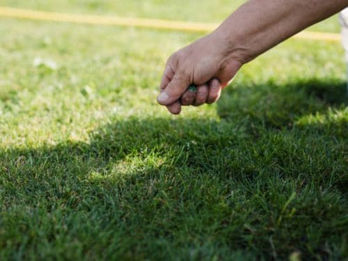 Landscape Maintenance Mound