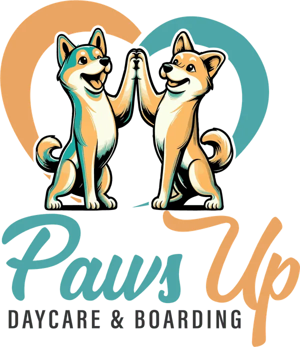 Paws Up in Plano, TX