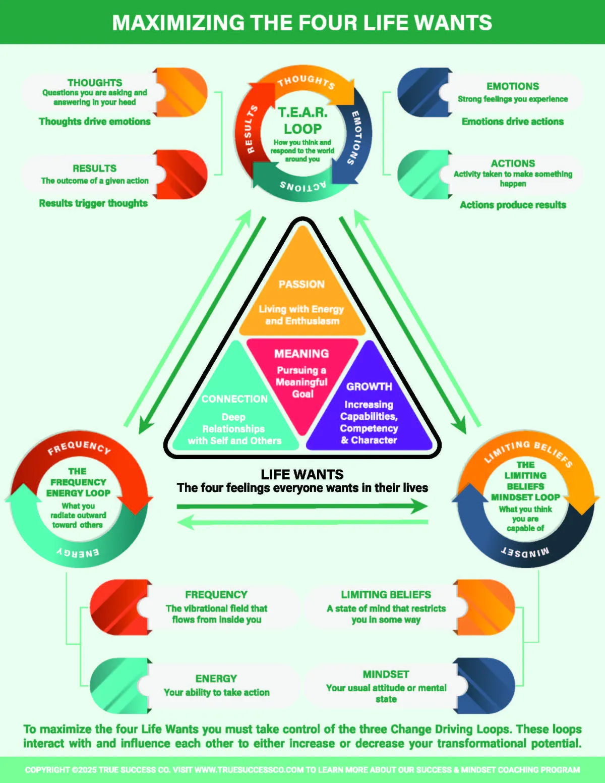 Life Wants and Change Driving Loops Infographic