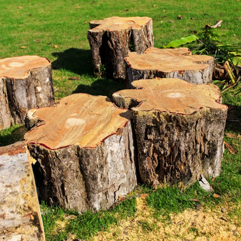 Affordable stump removal service improving yard space