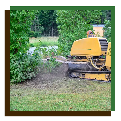 Residential and commercial stump service on a clean property