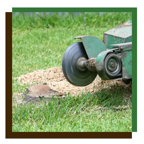 Free estimate in a day for stump grinding in Baltimore, MD at a local property