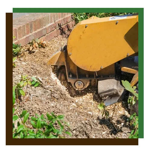 Stump grinding in Baltimore, MD clearing an old stump from a residential yard