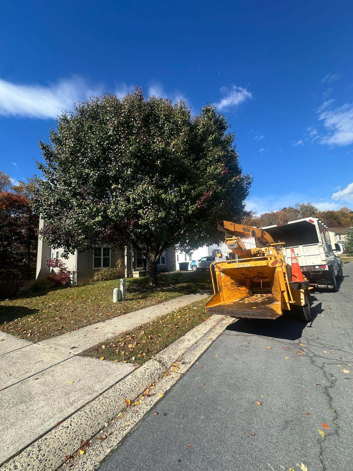 Same-day tree service truck arriving at a Towson property for urgent help