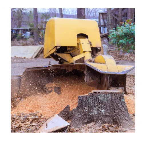Stump Grinding 