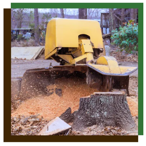 Stump Grinding