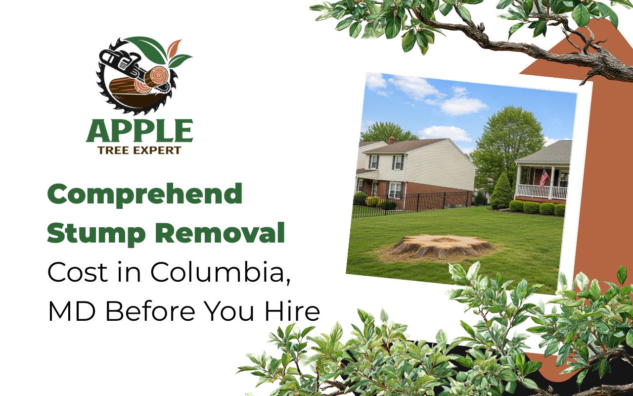 Yard assessment for stump removal cost in Columbia, MD