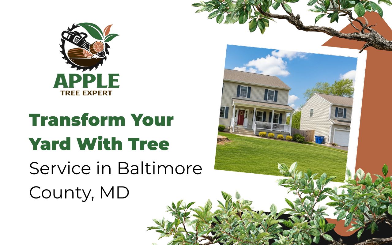 tree service in Baltimore County, MD for a clean front yard
