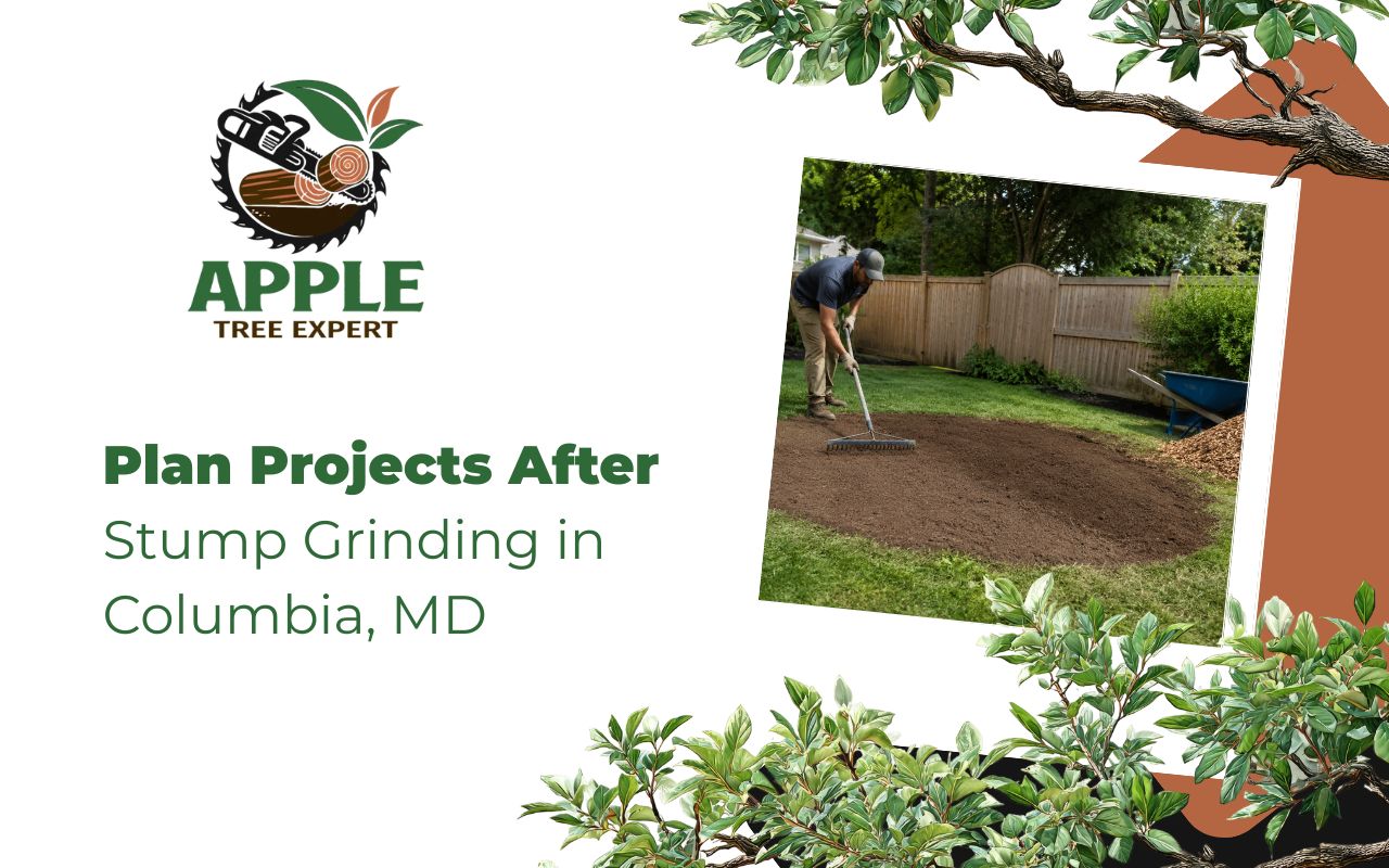 Yard repair after stump grinding in Columbia, MD