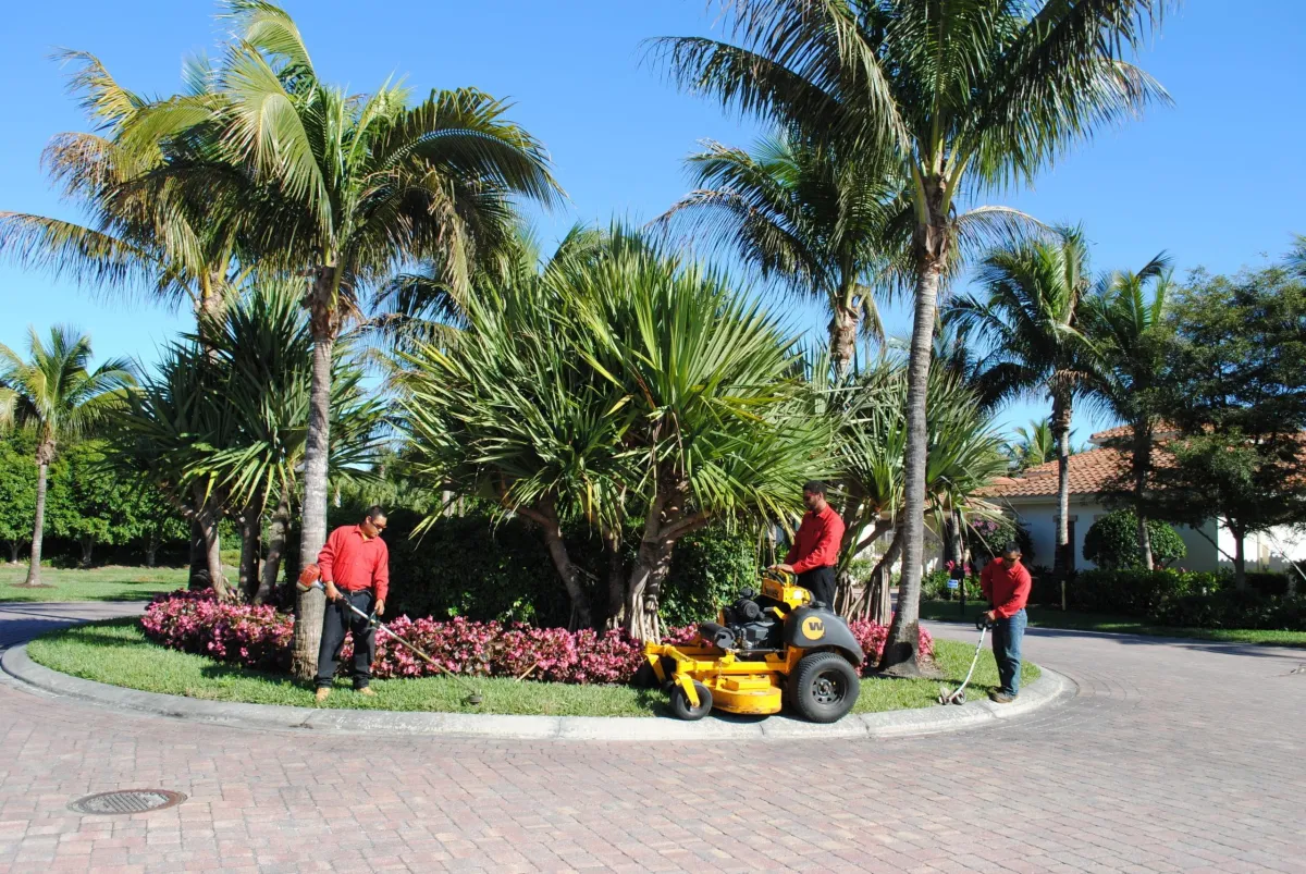 commercial landscape maintenance office property utah