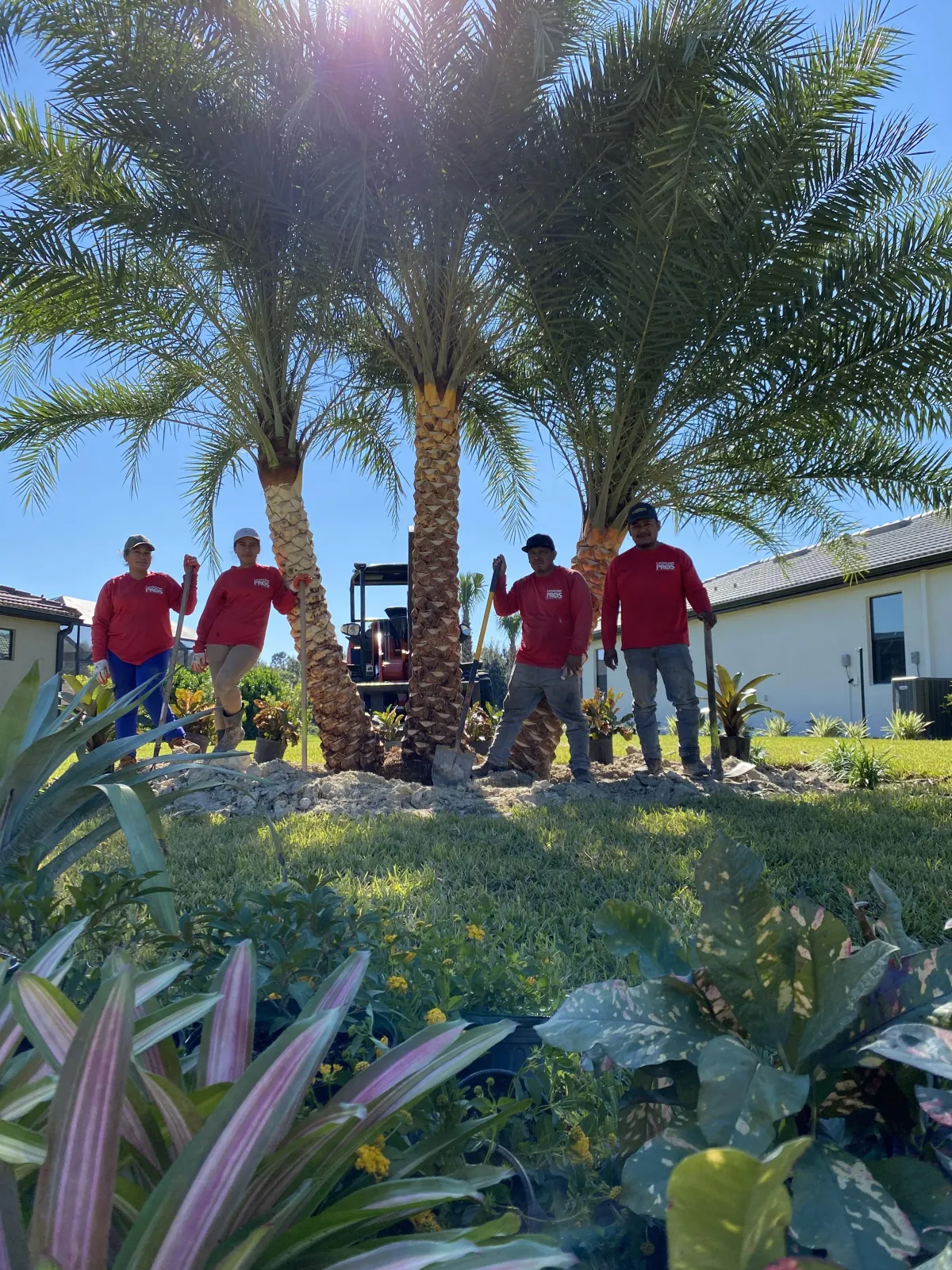 commercial property landscape maintenance utah