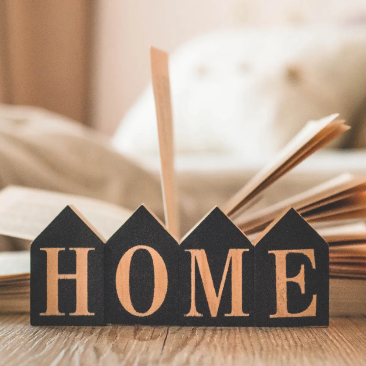 Detailed transparent-background house illustration representing what PPS provides