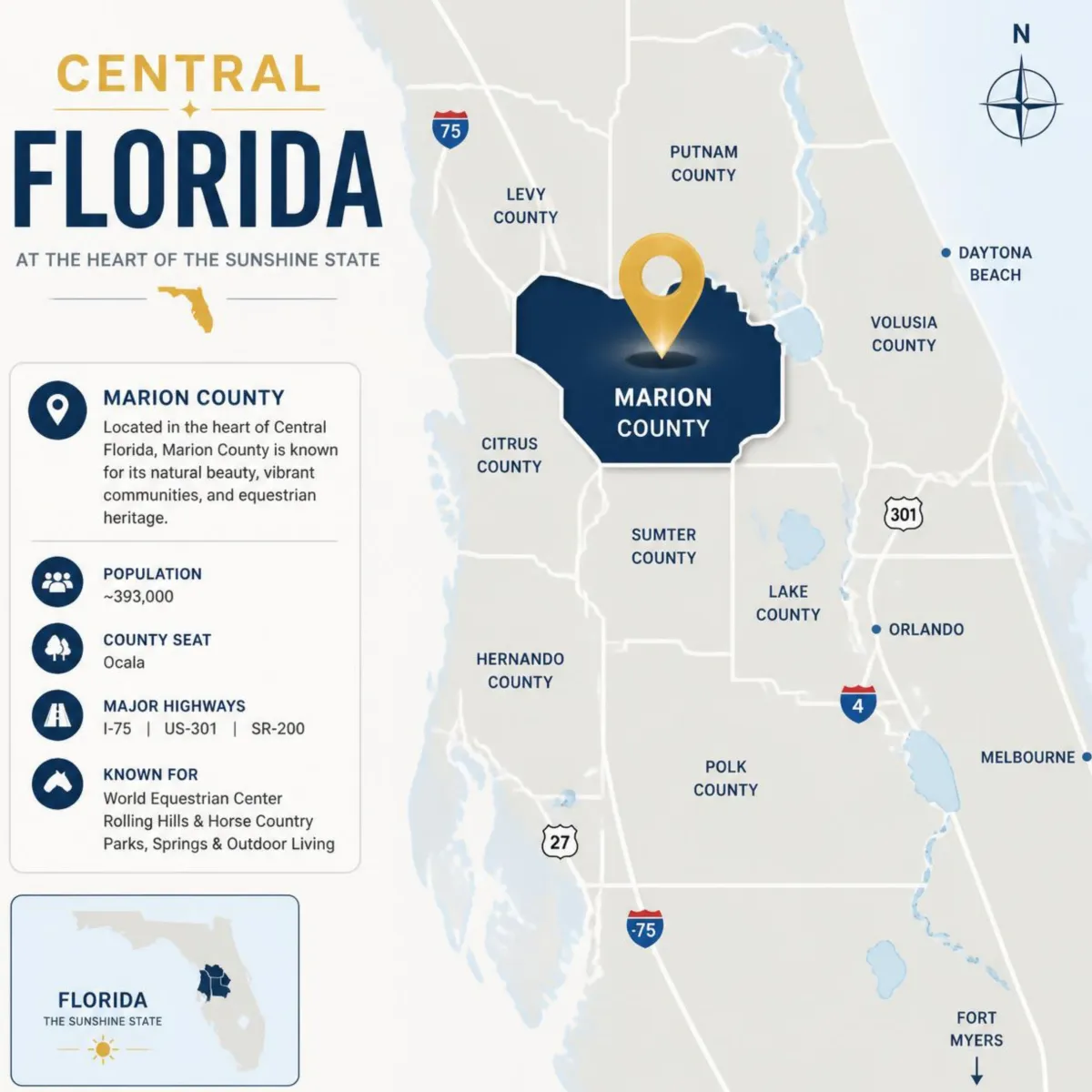 Minimalist vector map of Central Florida highlighting Marion County in solid Navy with a Gold pin