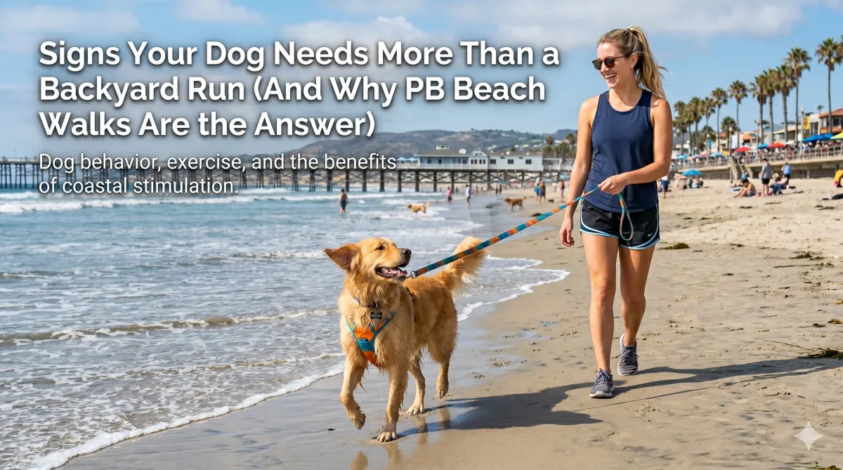 Top Tips for Exercising Active & High-Energy Dogs