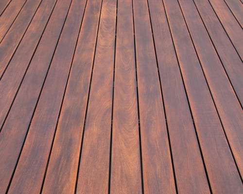 Aspendale Gardens Landscape Design
