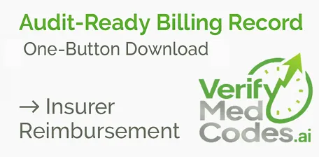Third Step of the VerifyMedCodes.ai AI-Assisted Medical Billing Process