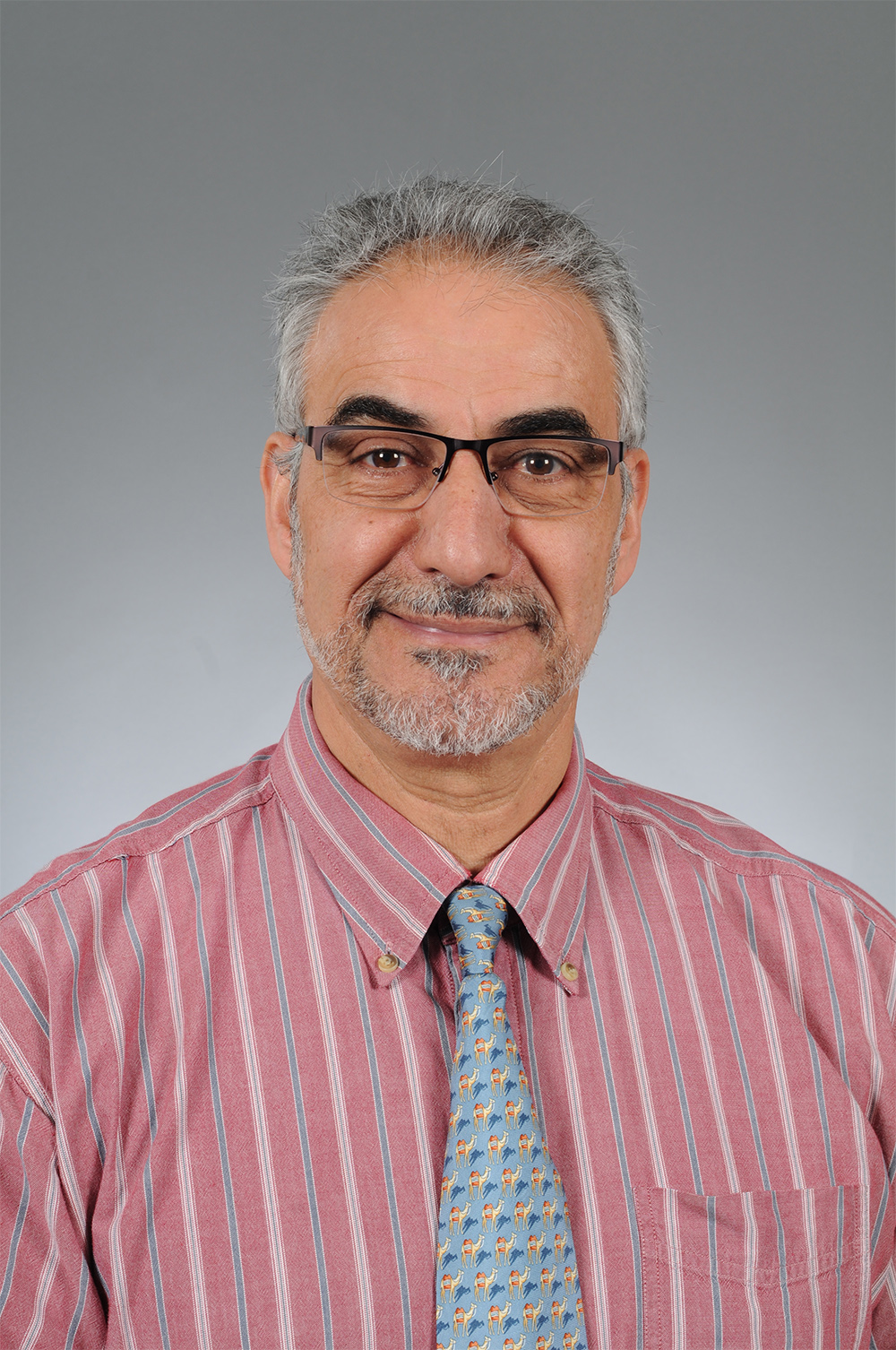 Dr Ahmed Tibary camelid reproduction expert