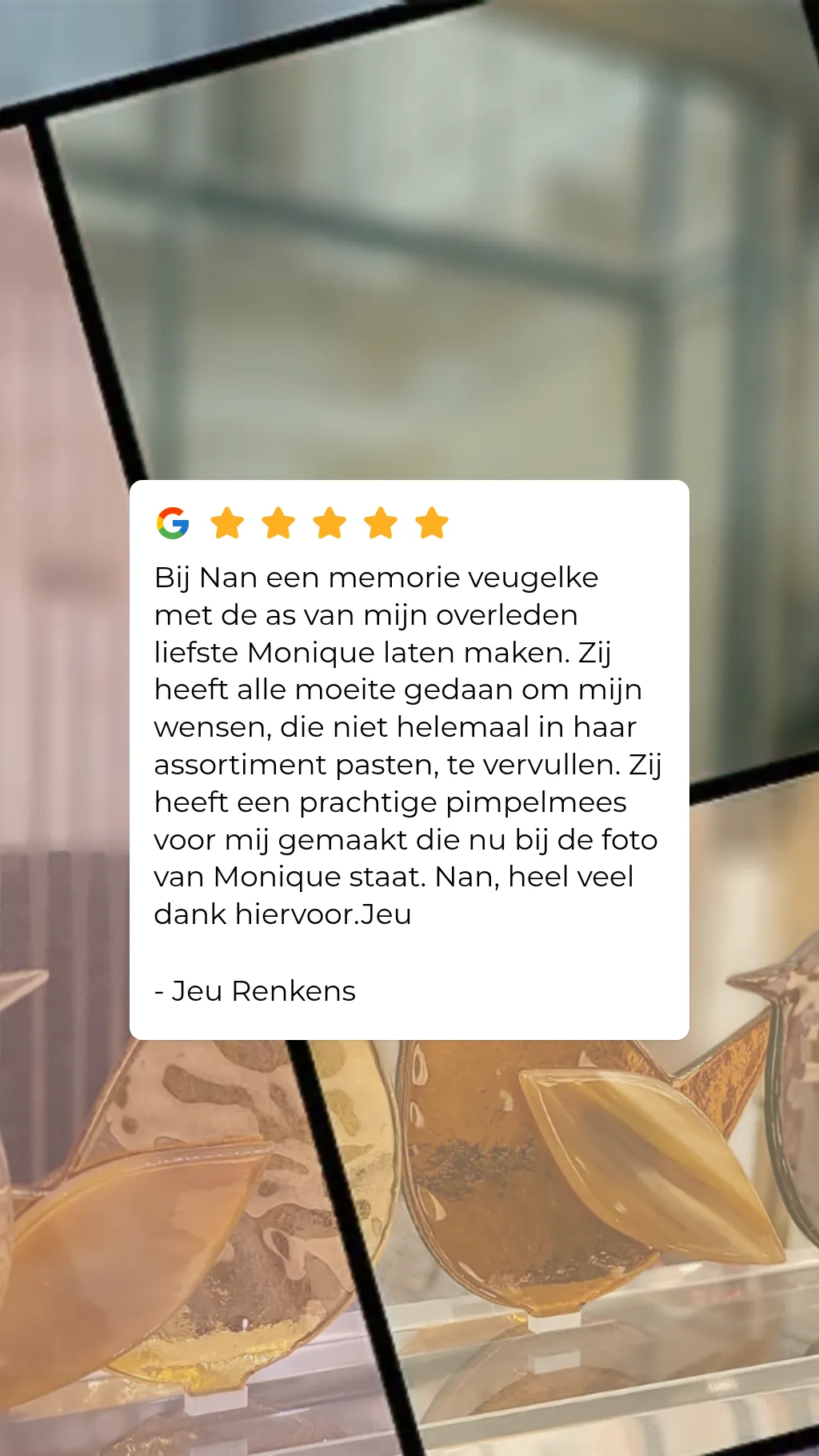 tevreden-klant-nan-design