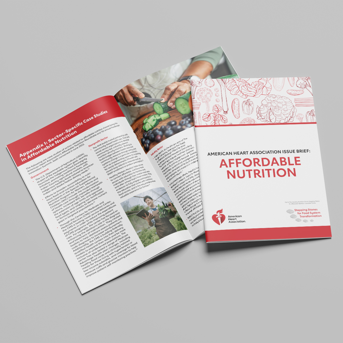Affordable Nutrition Impact Report design sample