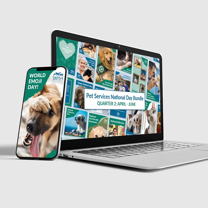 social media template design samples