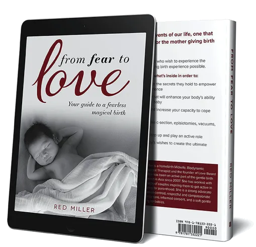From Fear to Love, Your Guide to a Fearless, Magical Birth