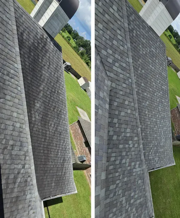 Before and after comparison of a roof cleaning service, showing a significant difference in shingle cleanliness.