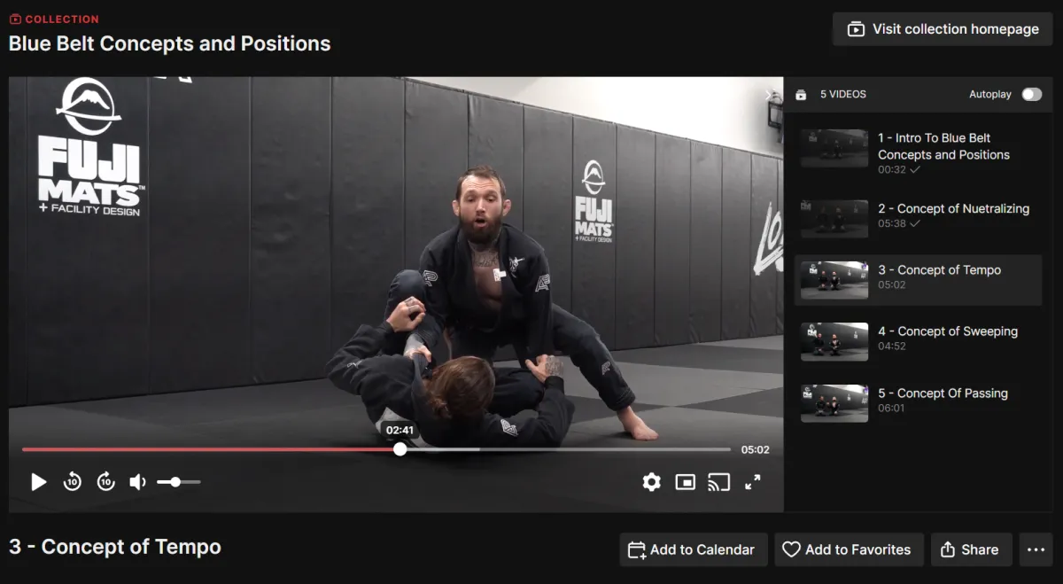 blue belt concepts and positions temp