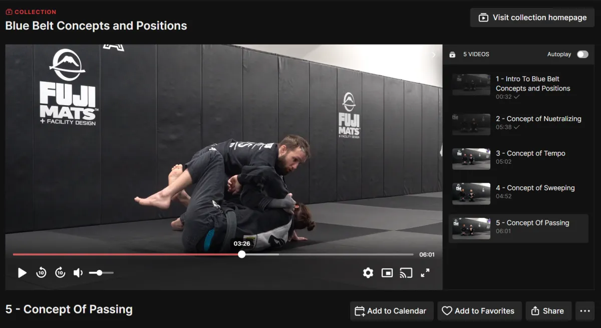 blue belt concepts and positions passing