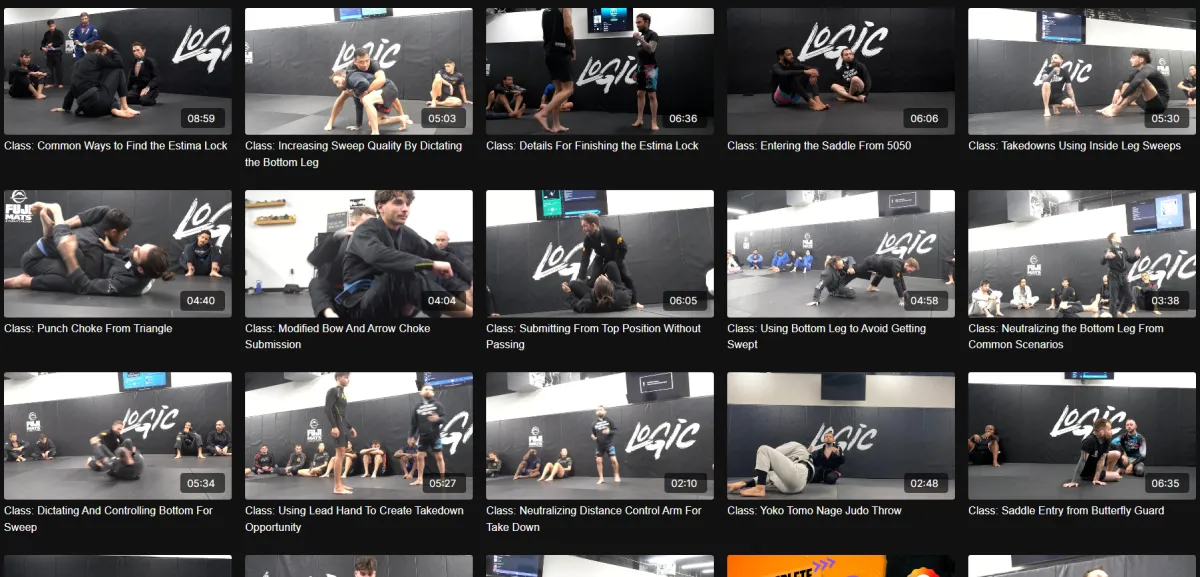 logic bjj online classes
