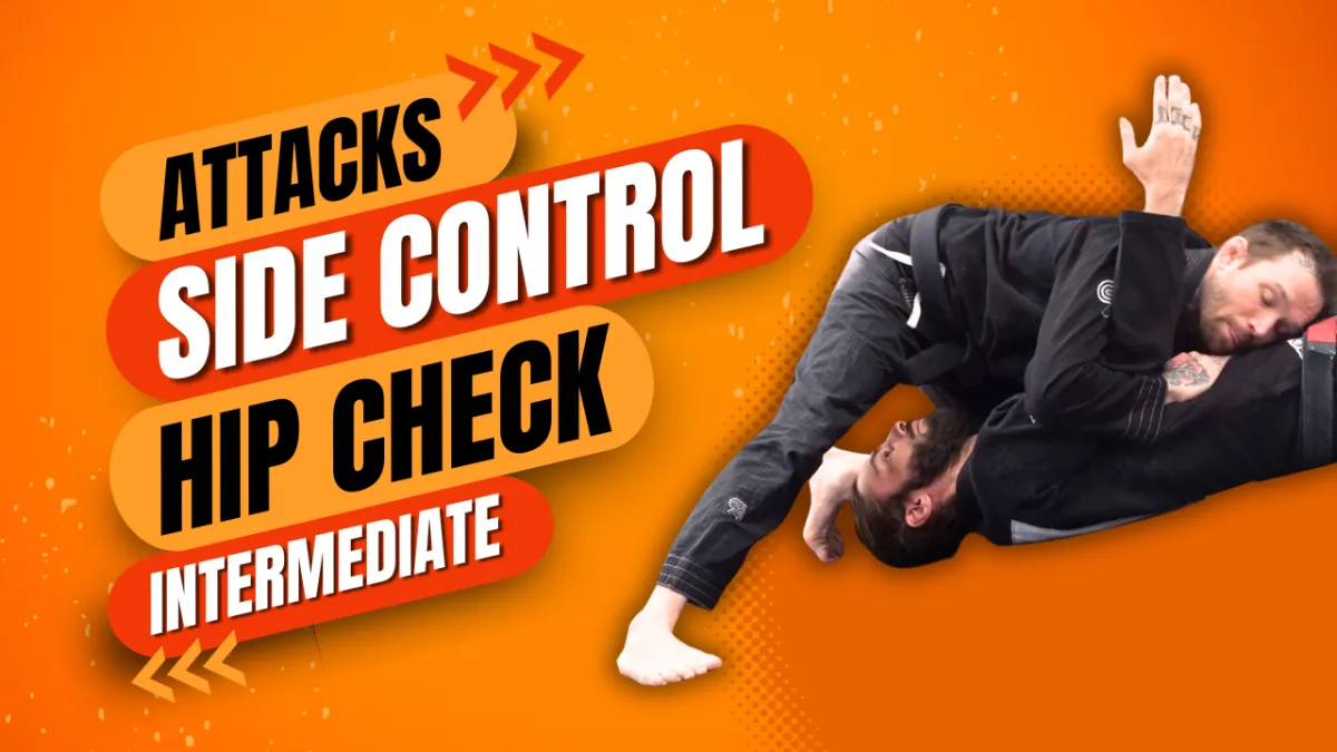 purple belt blueprint bjj course