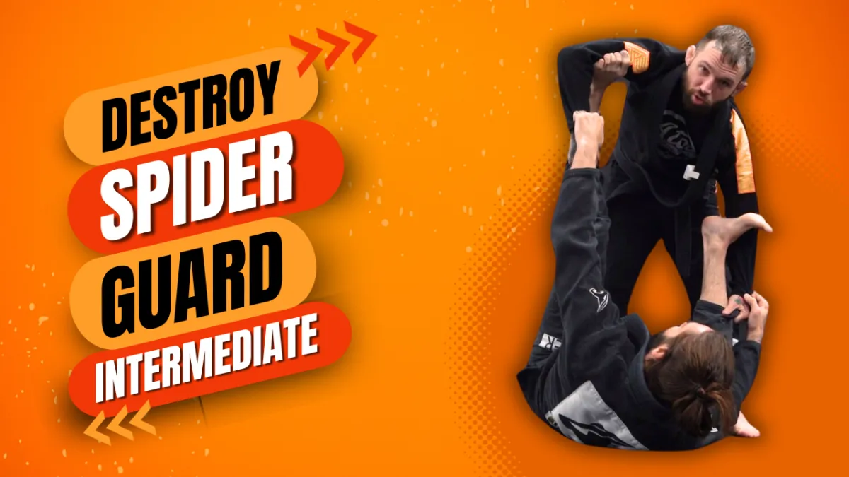 purple belt blueprint bjj course